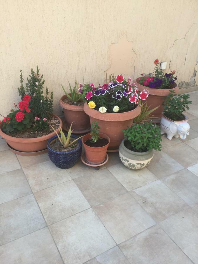 Artemis House Apartment Limassol Ngoại thất bức ảnh